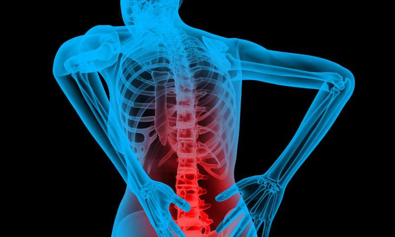 Experience pain in the neck and shoulder area? These easy sports will help convey remedy 3